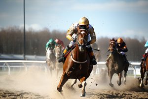 賽馬致勝攻略：馬匹分析策略解密​ | KC888評價站