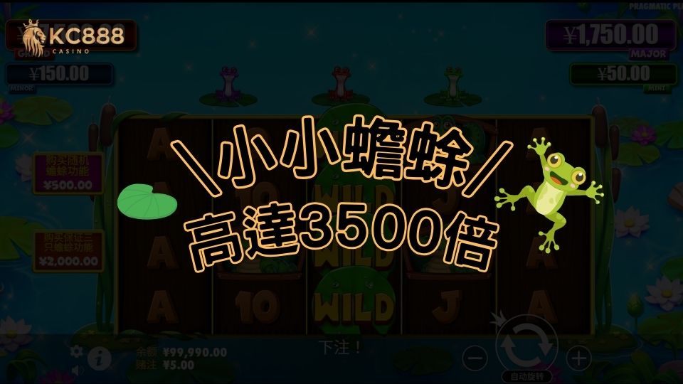 小小蟾蜍：探索大自然奇蹟與豐富獎勳的冒險插老虎機